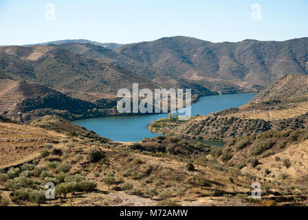 Vigneti di fiume Douro valley in autunno, Uncesco eredità di mondo, Portogallo Foto Stock