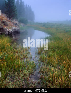 Snake River Basin, Rockefeller Parkway, adiacente al Grand Teton e dei parchi nazionali di Yellowstone Foto Stock