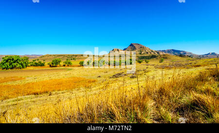 Paesaggio con le fertili terreni coltivati lungo l'autostrada R26, allo stato libero Provincia del Sud Africa Foto Stock