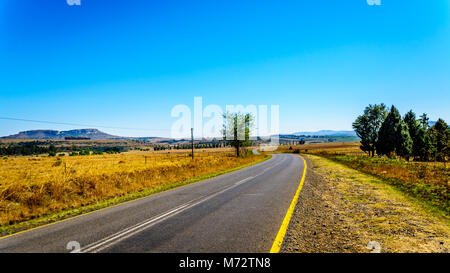 Autostrada R26 con le fertili terreni coltivati lungo l'autostrada R26, allo stato libero Provincia del Sud Africa Foto Stock