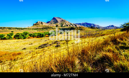 Paesaggio con le fertili terreni coltivati lungo l'autostrada R26 allo stato libero Provincia del Sud Africa Foto Stock