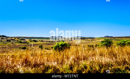 Paesaggio con le fertili terreni coltivati lungo l'autostrada R26, allo stato libero Provincia del Sud Africa, con le catene montuose del Lesotho in backgro Foto Stock