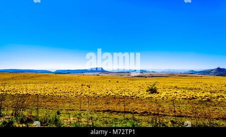 Paesaggio con le fertili terreni coltivati lungo l'autostrada R26, allo stato libero Provincia del Sud Africa, con le catene montuose del Lesotho in backgro Foto Stock