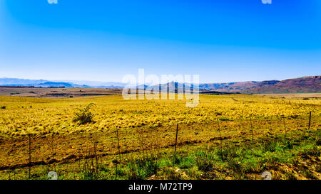 Paesaggio con fertili terreni coltivati lungo l'autostrada R26, allo stato libero Provincia del Sud Africa, con le catene montuose del Lesotho in background Foto Stock