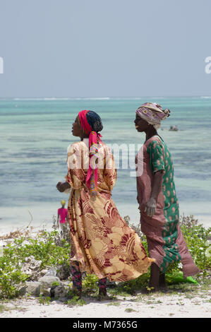 Due donne Swahili a Zanzibar sulla spiaggia di Jambiani vestito in colori vivaci abbigliamento chat e le alghe di allevamento Foto Stock