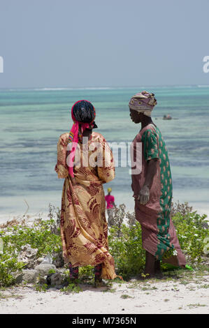 Due donne Swahili a Zanzibar sulla spiaggia di Jambiani vestito in colori vivaci abbigliamento chat e le alghe di allevamento Foto Stock