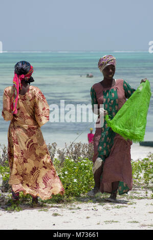 Due donne Swahili a Zanzibar sulla spiaggia di Jambiani vestito in colori vivaci abbigliamento chat e le alghe di allevamento Foto Stock