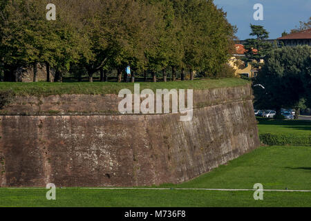 White Bird battenti vicino alle mura di Lucca, Toscana, Italia Foto Stock