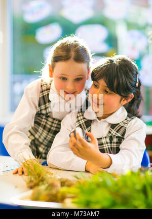 Due studentesse primario avente divertente imparare insieme in un luminoso fuori fuoco classe in una giornata di sole Foto Stock