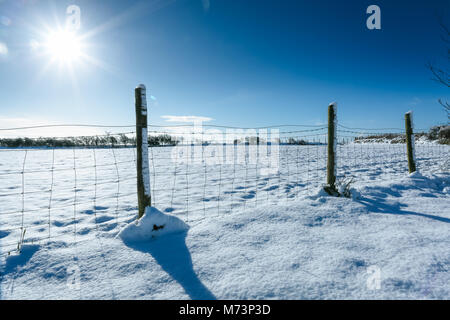 Abersoch in Gwynedd, Galles del Nord, Regno Unito. 8 Marzo, 2018. Un inaspettato soleggiato, snowy scena in Abersoch, il Galles del Nord, Regno Unito questa mattina, giovedì 8 marzo, 2018. Dopo l influenza di tempesta Emma sul weekend, causando pesanti derive di neve nella zona, la gente del posto si è svegliato questa mattina per un altro nuovo lotto di inverno, con una coltre di neve che ricopre la zona. Credito: Dafydd Owen/Alamy Live News Foto Stock