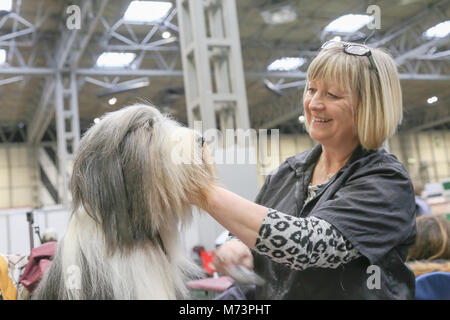 Birmingham, Regno Unito. 8 Mar, 2018. Il primo giorno di Crufts, il più grande e il più famoso dog show in tutto il mondo, un barbuto Collie è dato last minute toelettatura al NEC di Birmingham. Credito: Pietro Lopeman/Alamy Live News Foto Stock