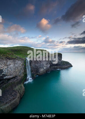 Cascata a RSPB Fowlsheugh della Riserva Naturale, Crawton, Kincardineshire , fowslheugh, Foto Stock