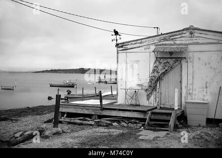 Baracca, les Cabanes des Pecheurs, étang de l'Ayrolle, vicino Gruissan, Aude, Occitanie, Francia. Versione in bianco e nero Foto Stock