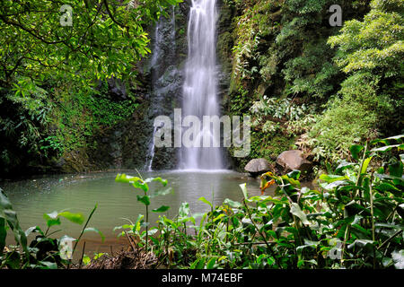 Cruzal cascata, São Jorge. Isole Azzorre, Portogallo Foto Stock