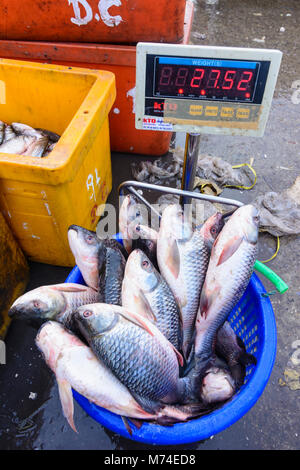 Yangon (Rangoon): San al contrario Pya il mercato del pesce: scala con pesce, , Regione di Yangon, Myanmar (Birmania) Foto Stock