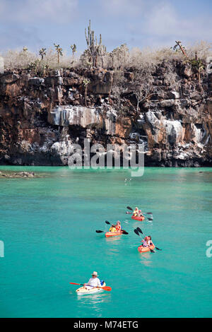 Un gruppo di kayakers (MR) esplorare le acque al largo Isola di Santa Cruz, Arcipelago delle Galapagos, Ecuador. Foto Stock