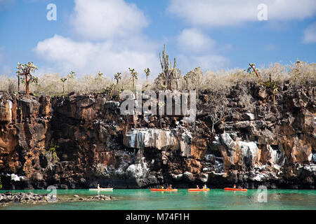 Un gruppo di kayakers (MR) esplorare le acque al largo Isola di Santa Cruz, Arcipelago delle Galapagos, Ecuador. Foto Stock