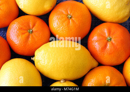 Arance e limoni, Close-up Foto Stock