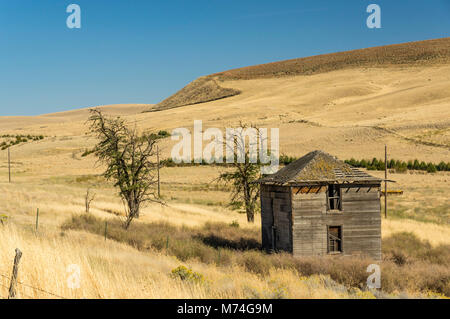 Edificio abbandonato su un ranch in Eastern Washington a secco con praire in background Foto Stock