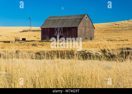 La stalla e il mulino a vento abbandonato su una fattoria di grano nel Palouse regione orientale di Washington Foto Stock