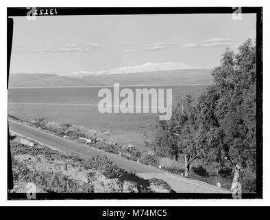 La Galilea di Mt. Hermon, presa Feb. 1945 matpc LOC.12541 Foto Stock
