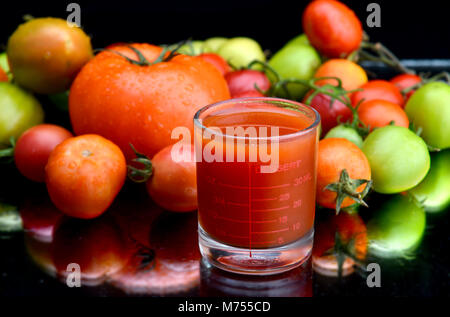 Super bella fresca pomodoro colorato dalla natura agriturismo Foto Stock