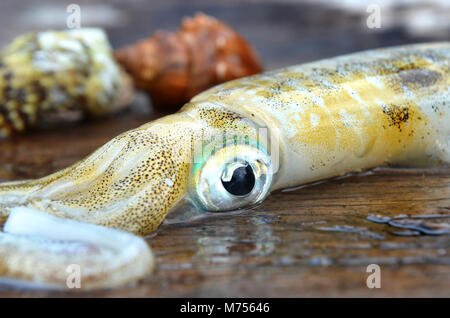 Messa a fuoco gli occhi di fresco e dolce vita seppie dal mercato della pesca in Thailandia foto in esterno illuminazione nuvoloso. Foto Stock