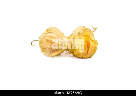 Cape gooseberry, molto delizioso e sano berry physalis isolati su sfondo bianco Foto Stock