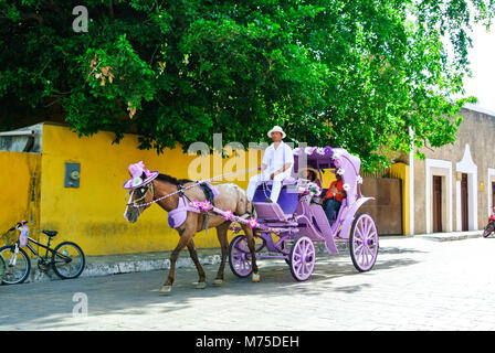 Izamal, Yucatan, Messico, Un messicano su una carrozza per turisti in una strada. Solo editoriale. Foto Stock