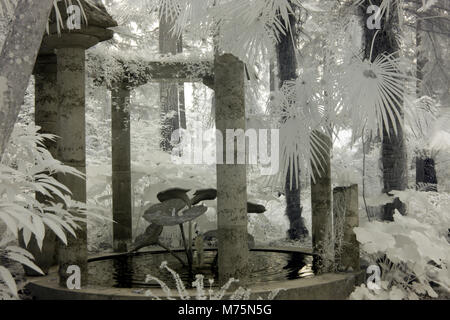 Immagine a infrarossi di una fontana circondata da colonne in un giardino con alberi di palma Foto Stock