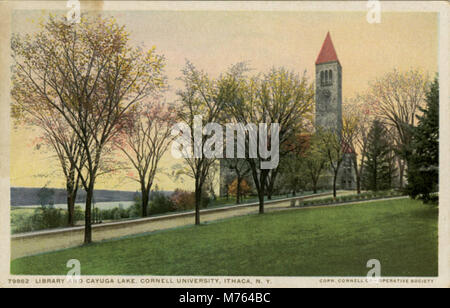 Una vista panoramica della biblioteca della Cornell University, situata vicino al lago Cayuga. L'immagine cattura la grandezza dell'architettura e il pittoresco scenario del lago, tipico del campus universitario di Ithaca, New York. Foto Stock