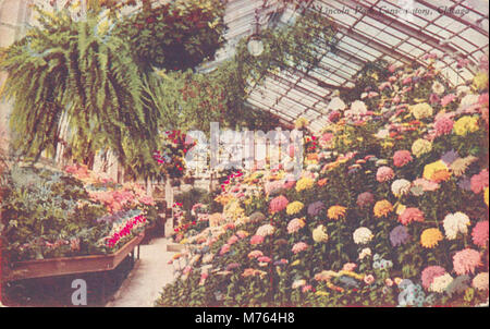 Lincoln Park Conservatory, Chicago (BNI 416473) Foto Stock