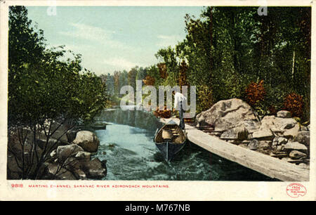 Martins canale, Saranac River (BNI 9174) Foto Stock