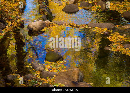 Riflessioni sul fiume in autunno. Foto Stock
