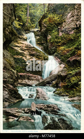 Una fotografia panoramica della cascata, una cascata situata a North Adams, che cattura la sua bellezza naturale e l'ambiente circostante. Foto Stock
