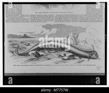 Il grande mare-serpente, trovati in Ungheria Bay, Bermuda, il 22 gennaio, 1860 - da uno schizzo di W.D. Munro. LCCN2001695531 Foto Stock