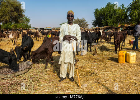 Fiero agricoltore sul mercato degli animali in Niamey, Niger, Africa Foto Stock