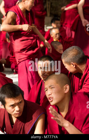 Il discutere di monaci buddisti tibetani del Monastero di Sera, Lhasa, in Tibet, in Cina Asia Foto Stock