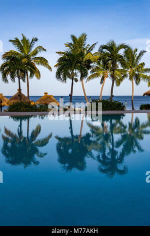 Riflessi di alberi di palma in piscina al Sugar Beach, Santa Lucia, isole Windward, West Indies, dei Caraibi e America centrale Foto Stock