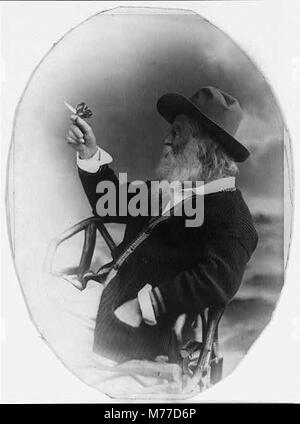 Walt Whitman, mezza lunghezza ritratto, seduto, rivolto verso sinistra, indossare un cappello e un maglione, tenendo butterfly LCCN00650592 Foto Stock