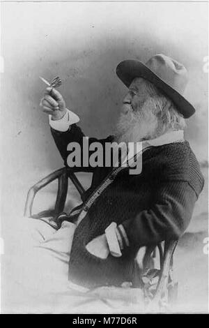 Walt Whitman, mezza lunghezza ritratto, seduto, rivolto verso sinistra, indossare un cappello e un maglione, tenendo butterfly LCCN00650593 Foto Stock