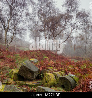 Macine in pietra ricoperta di MOSS si trovano abbandonate entro il bolo ex cava di collina in una nebbiosa mattina autunnale nel Peak District, Derbyshire, England, Regno Unito Foto Stock