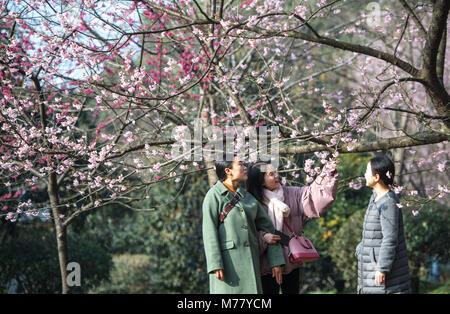 Wuhan, la Cina della provincia di Hubei. 9 Mar, 2018. I turisti guardano la fioritura dei ciliegi nel Donghu Scenic Area a Wuhan, Cina centrale della provincia di Hubei, 9 marzo 2018. Credito: Xiong Qi/Xinhua/Alamy Live News Foto Stock