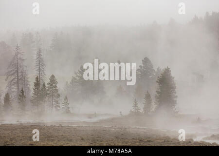 La nebbia di mattina sulla Firehole Lake Drive. Foto Stock