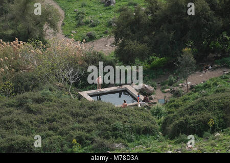 Vista di un Ein EYH ( denominata dopo il soldato israeliano Elon Yaakov Horowitz che è stato ucciso durante il suo servizio militare) una molla rettangolare piscina costruita da esercito siriano prima del 1967 sulle pendici meridionali delle alture del Golan, affacciato sul triangolo delle frontiere tra Israele e Giordania e Siria. est dell'insediamento israeliano e del kibbutz Metzar. L'esercito siriano, prima del 1967, ha creato il rilassamento e la ricreazione piscine presso le sorgenti locali per i loro ufficiali in diversi punti sulle alture del Golan. Tutti loro sono chiamata in ebraico Breichot Ketzinim (ufficiali piscine). Foto Stock