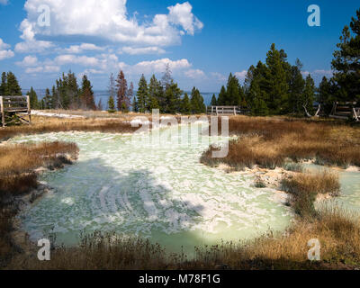 West Thumb Paint Pots. Questa è la migliore ipotesi per il punto in cui Jackson fotografato ciò che egli chiama ;fango puffsat West Thumb Geyser Basin e le caratteristiche mostrate nella contemporanea immagine sono oggi conosciuto come il pollice Paint Pots. Foto Stock