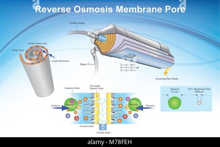 Osmosi inversa (RO) è una purificazione di acqua la tecnologia che utilizza una membrana semipermeabile per rimuovere ioni, molecole e particelle più grandi da drinki Illustrazione Vettoriale