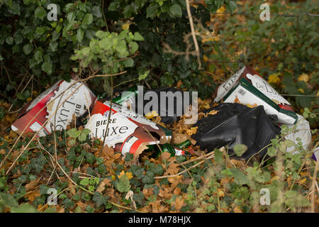 Bottiglie di birra e di altri rifiuti oggetto di dumping dal lato di una strada vicino a Gillingham, North Dorset UK GB Foto Stock