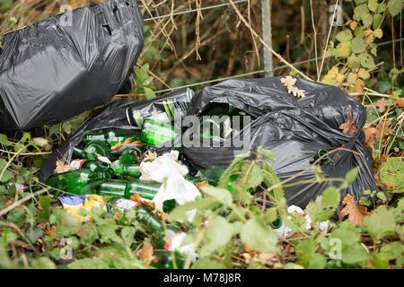 Bottiglie di birra e di altri rifiuti oggetto di dumping dal lato di una strada vicino a Gillingham, North Dorset UK GB Foto Stock