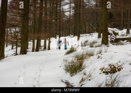 Attività invernali, un paio di scuotipaglia escursionismo su un percorso attraverso gli alberi in una coperta di neve bosco in prossimità di Buttermere in Cumbria Foto Stock